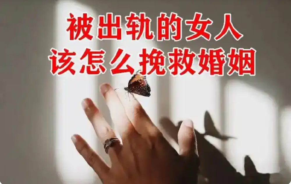 石家庄婚姻调查：男女双方均出轨，该如何办理离婚